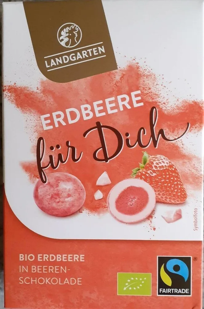 Bio Erdberren in Beerenschokolade