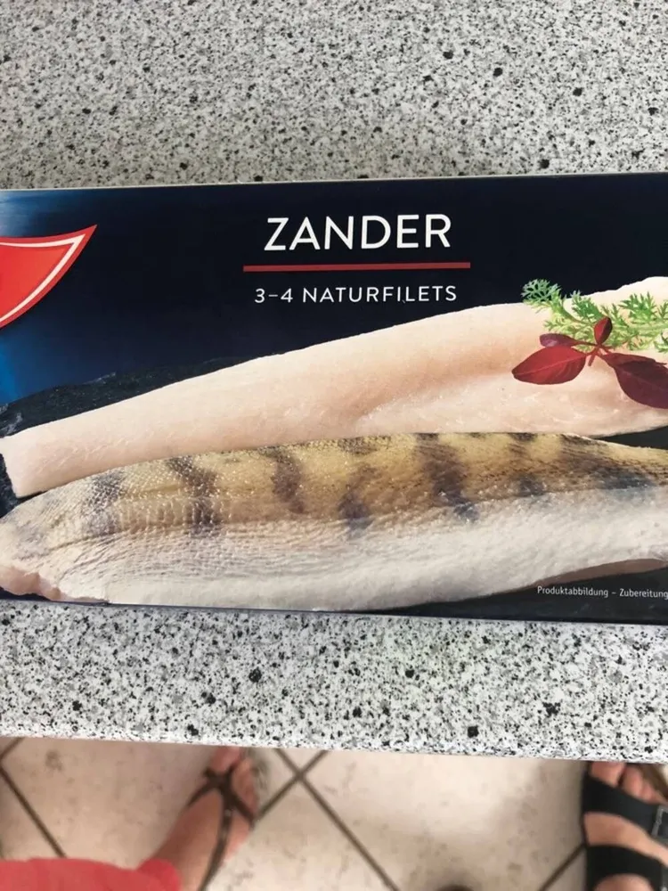 Zander