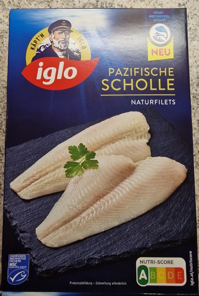 Pazifische Scholle Natur