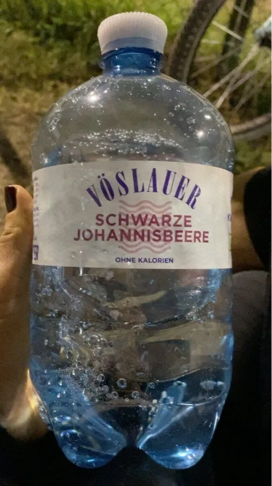 Schwarze johannisbeere