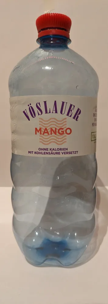 Sprudelwasser; Holunderblüte Vöslauer