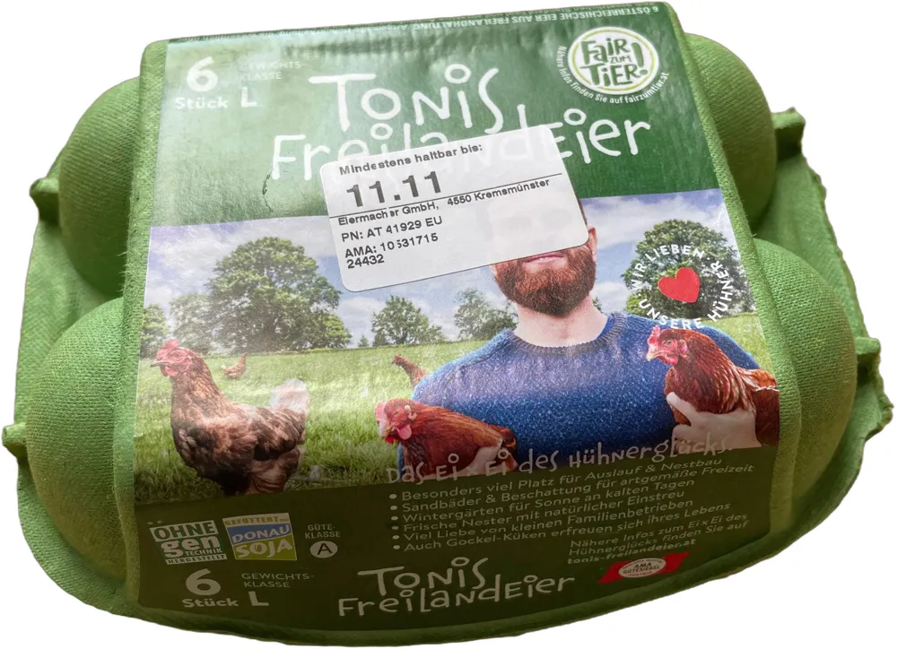 Freilandeier (6 Stück)