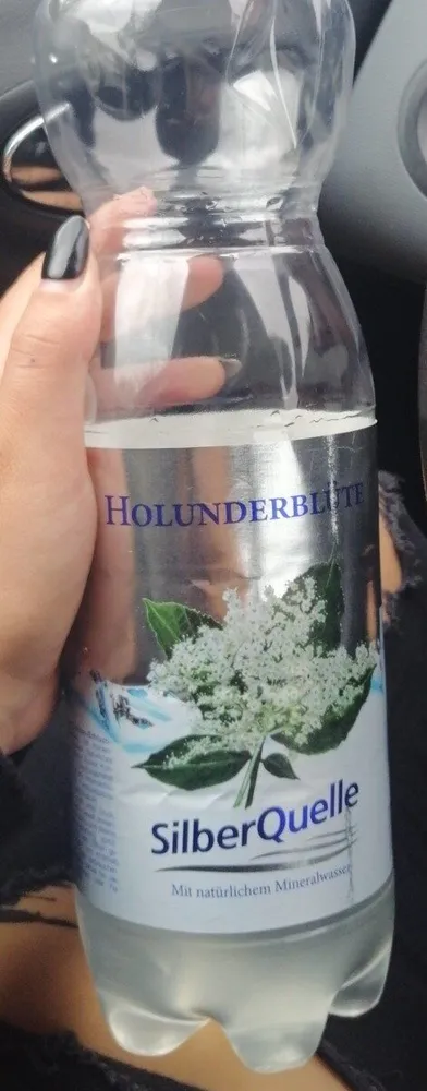 Holunderblüte