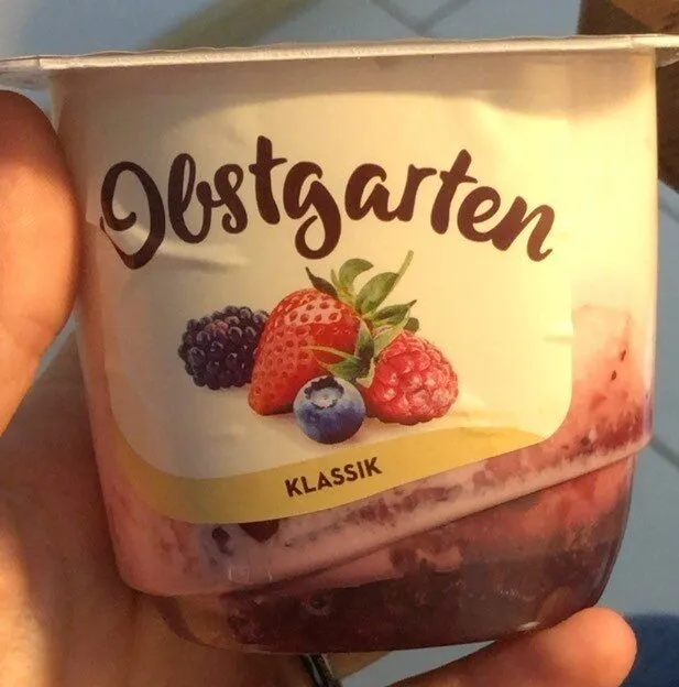 Danone Obstgarten Waldfrucht 175g