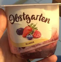 Danone Obstgarten Waldfrucht 175g