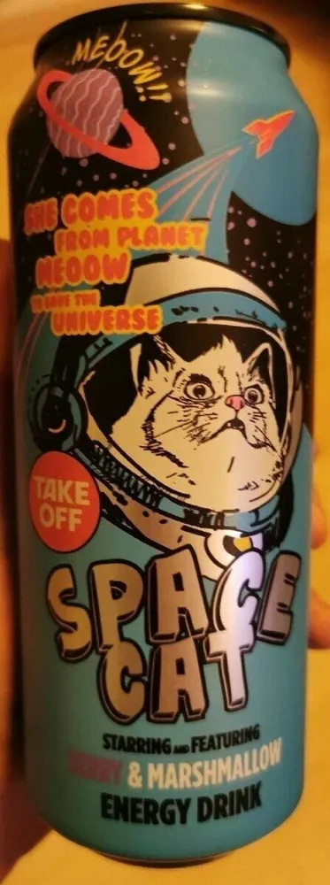 Space Cat