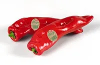 Bio Spitzpaprika