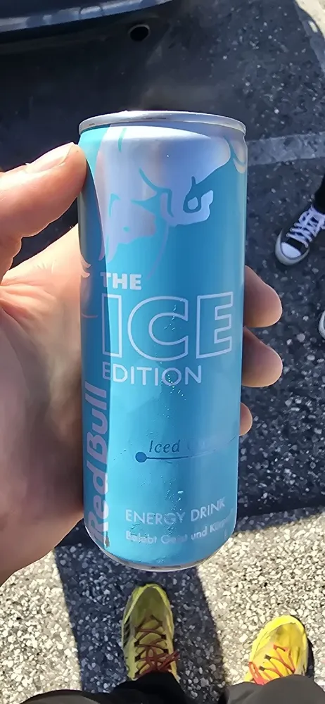 Iced Gummy Bear