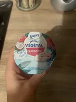 Dessert végétal framboise au lait de coco