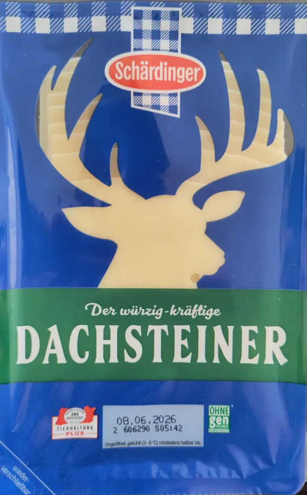 Dachsteiner