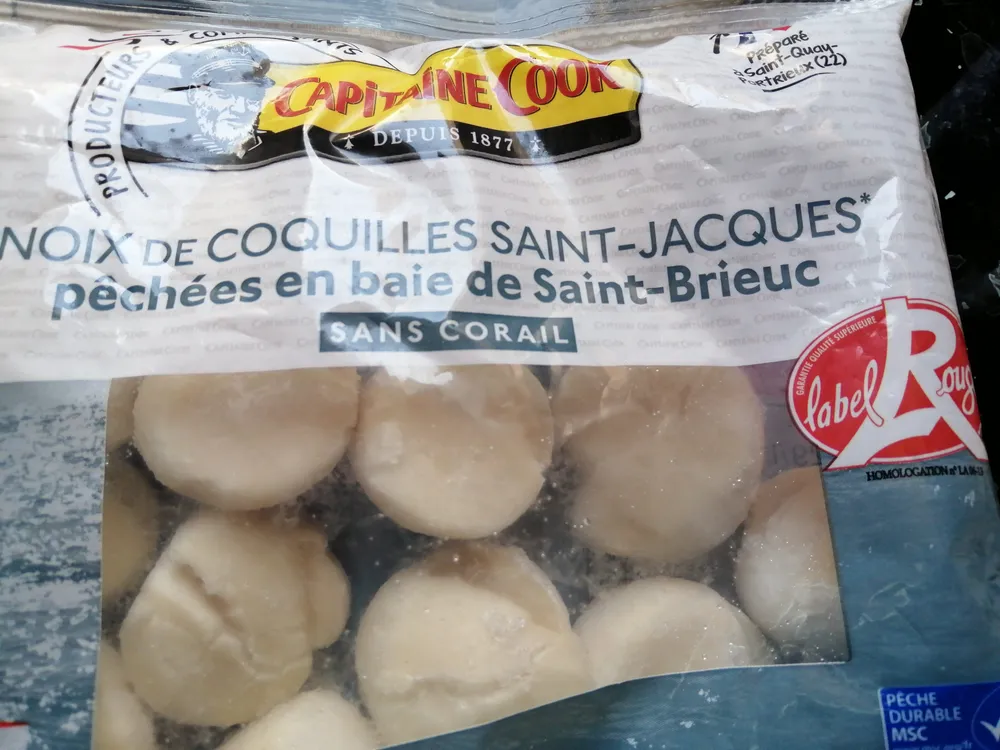 Noix de coquilles Saint-Jacques pêchées en baie de Saint-Brieuc