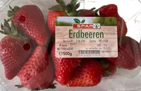 Erdbeeren
