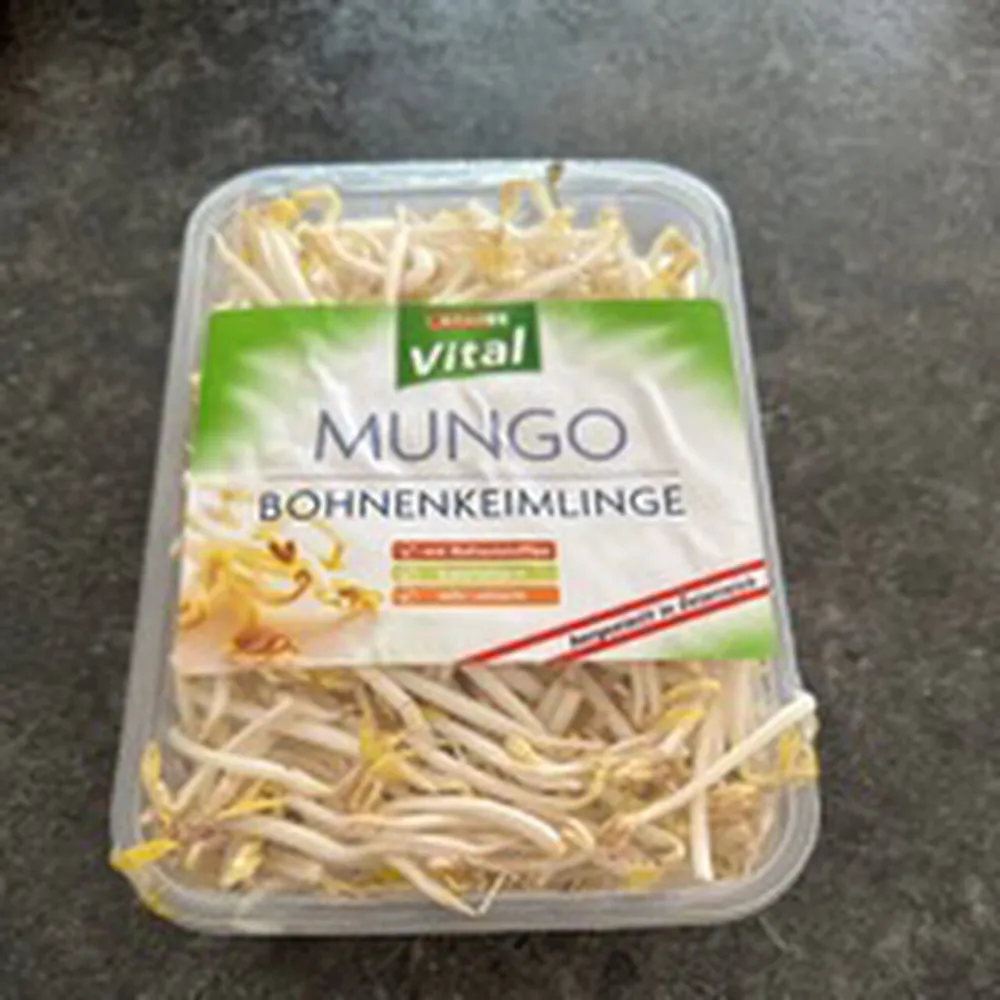 Mungo Bohnenkeimlinge