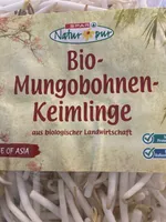 Bio Mungobohnen Keimlinge