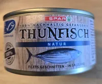 Thunfisch Natur