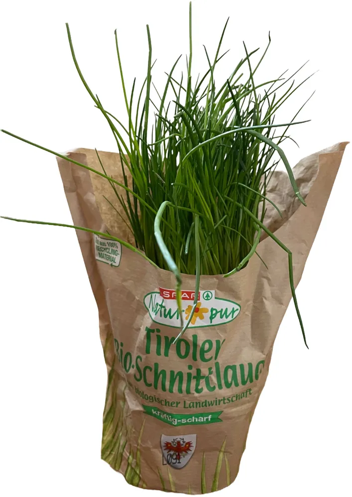 Tiroler Bio-Schnittlauch