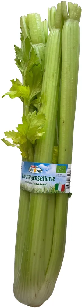 Bio-Stangensellerie