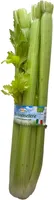 Bio-Stangensellerie