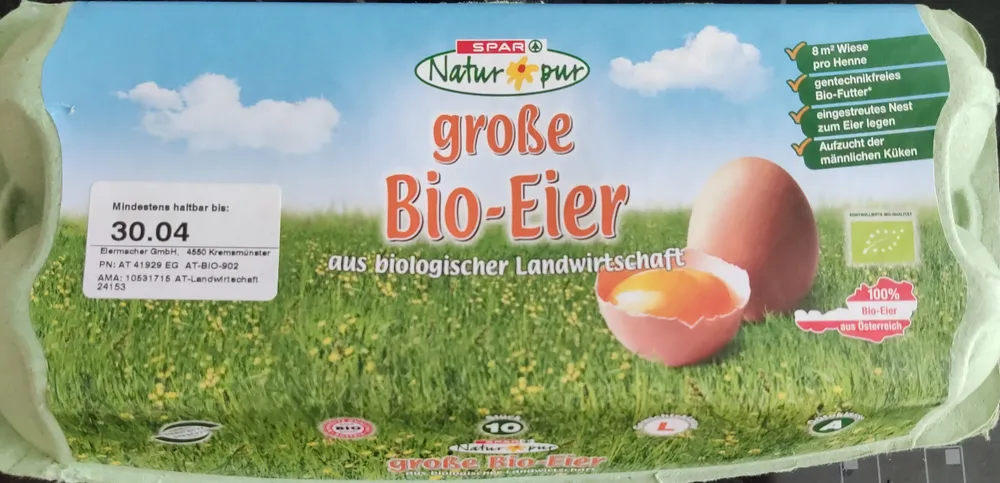 Bio-Eier groß