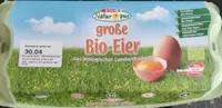 Bio-Eier groß