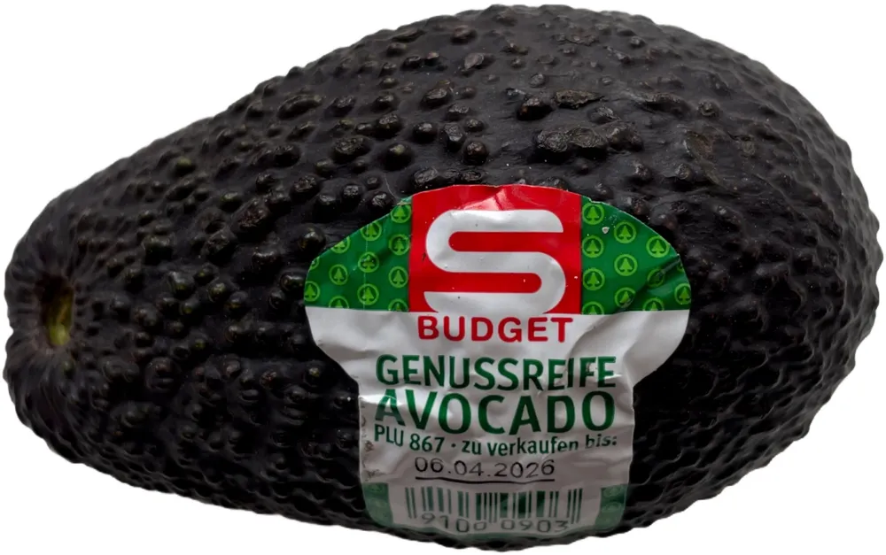 Avocado