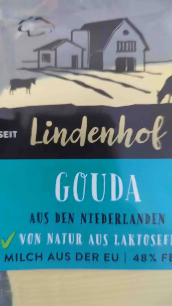Gouda