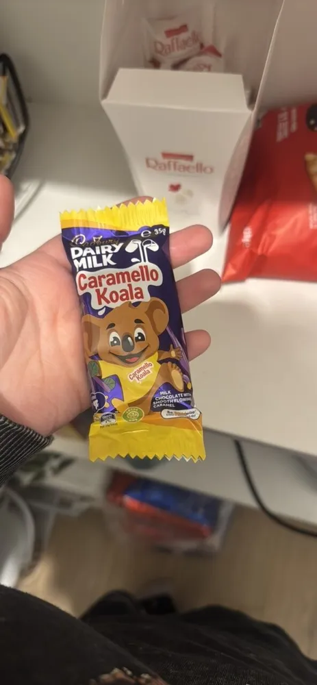 Caramello Koala