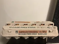 12 Cage Free Eggs - Barn Laid