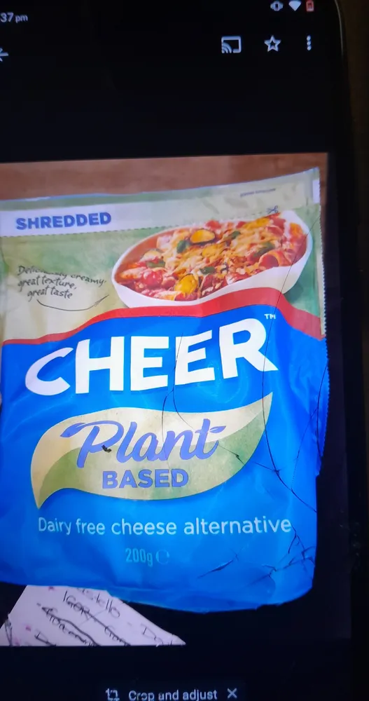 Dairy free cheese alternative