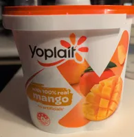 Real fruit Mango