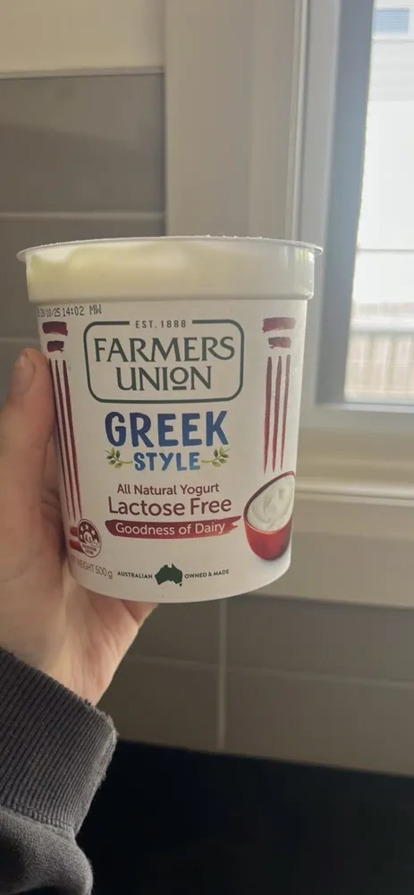 Greek Style All Natural Yogurt Lactose Free