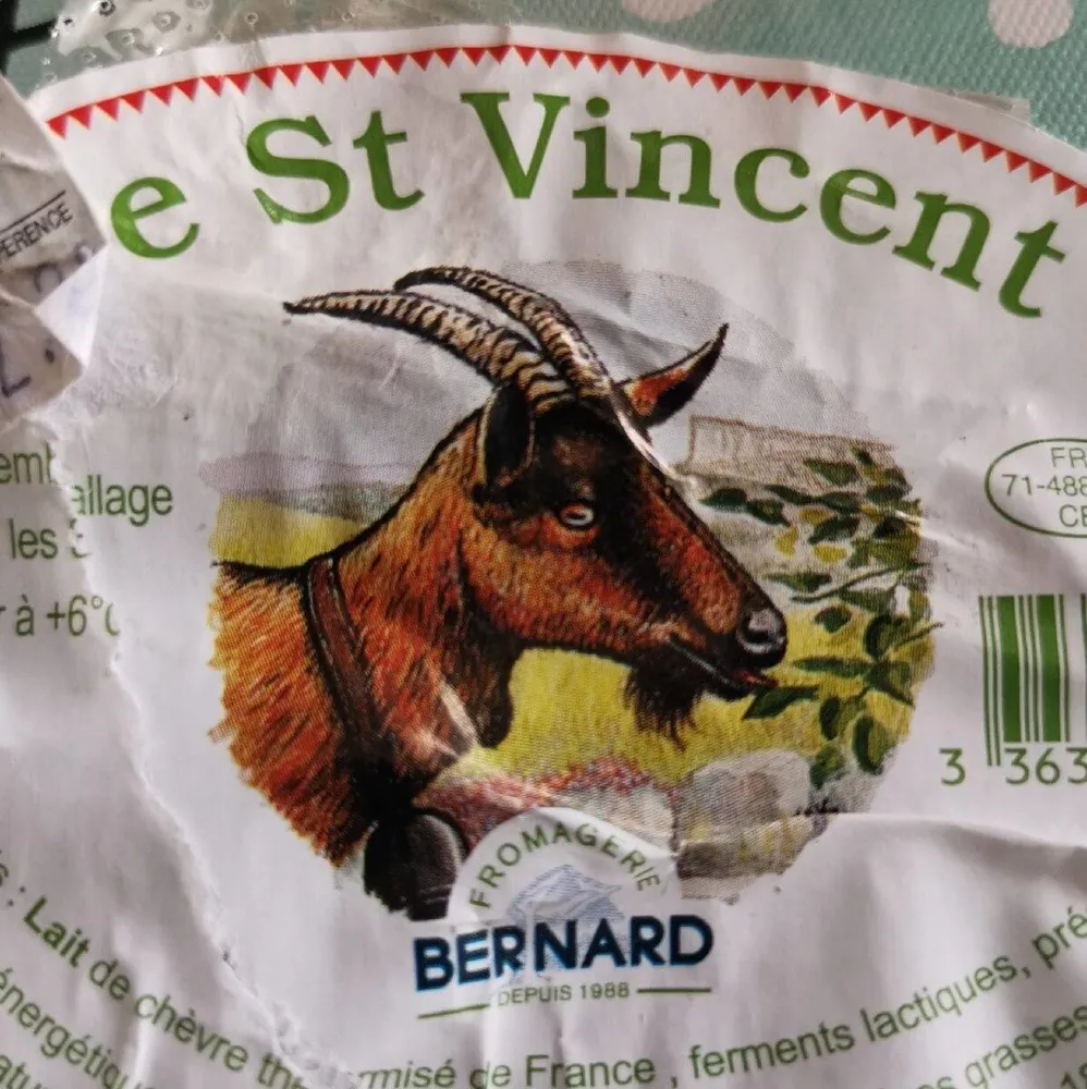 Le saint Vincent