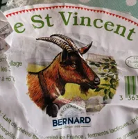 Le saint Vincent