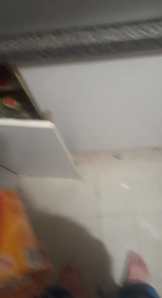 Spaghetti Rich Tomato