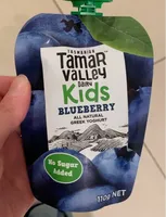 Tamar Valley dairy KIDS blueberry