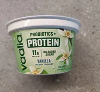 Vanilla Creamy Yogurt