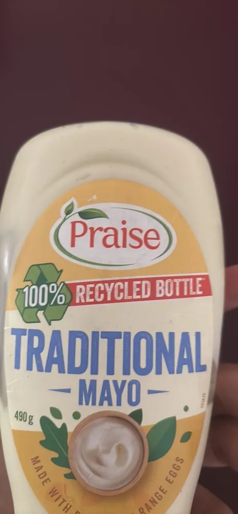 Traditional Mayo