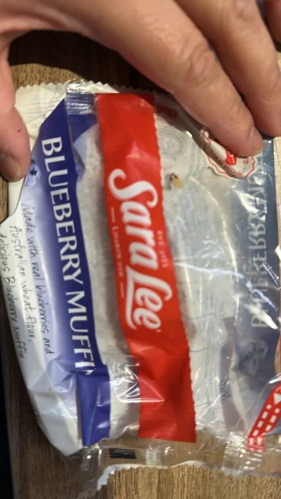 Sara Lee Blueberry Muffin