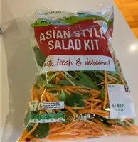 Asian style salad kit