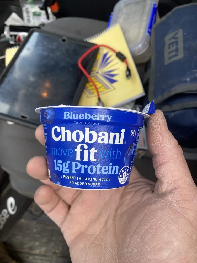Blueberry Greek Yogurt