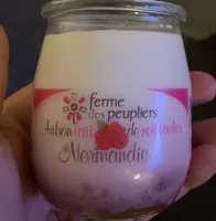 Yaourt framboise