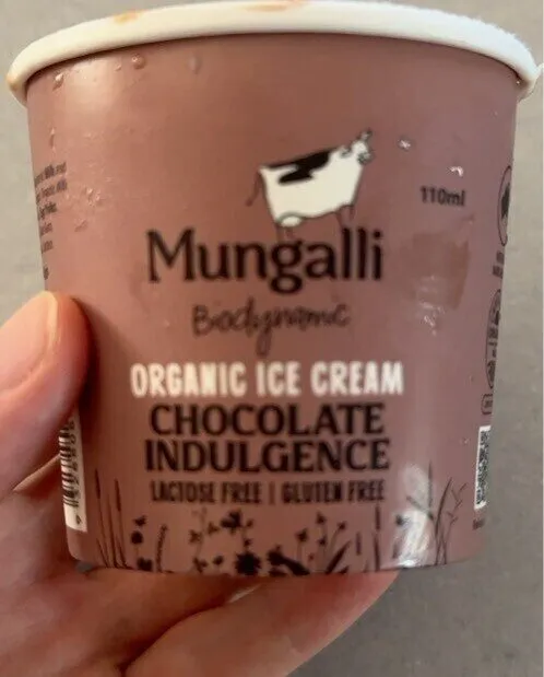 Organic ice Cream - Belgian Chocolate