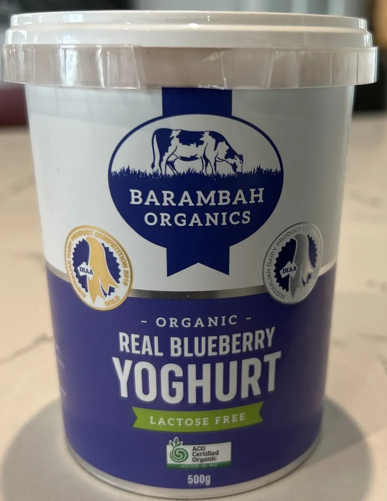 Organic Real Blueberry Yoghurt Lactose Free