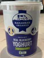 Organic Real Blueberry Yoghurt Lactose Free