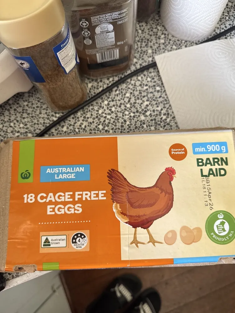 18 Cage Free Eggs