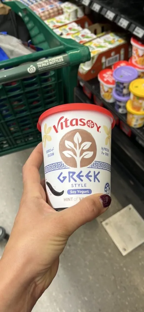Soy Yogurt
