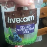 Organic blueberry yogurt