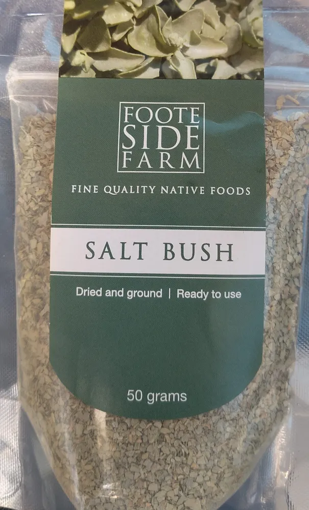 Salt bush