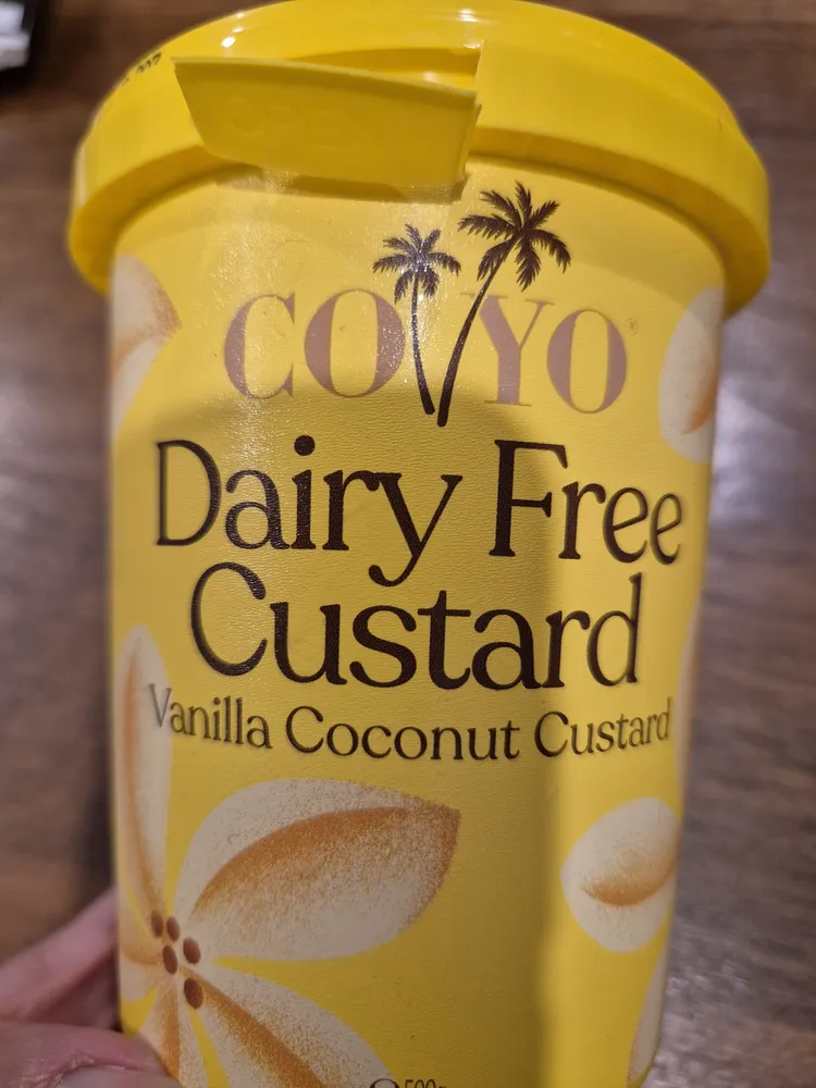Dairy Free Custard Vanilla Coconut Custard