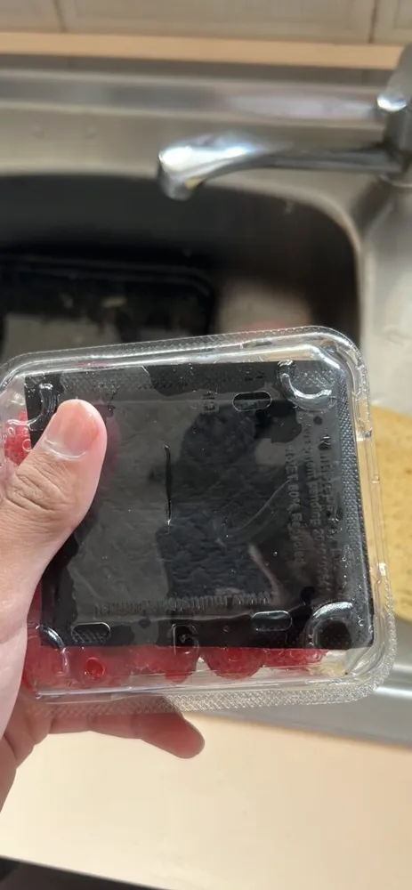 Raspberries
